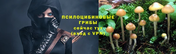 MESCALINE Алзамай