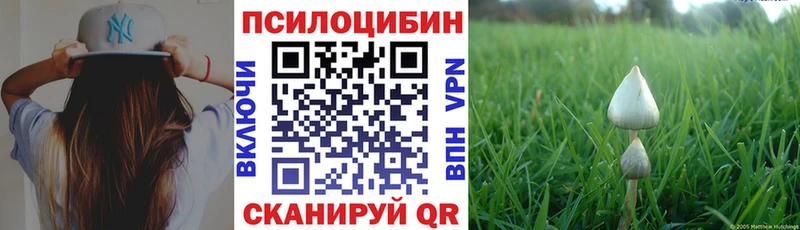 купить   Кочубеевское  площадка официальный сайт  Галлюциногенные грибы ЛСД 
